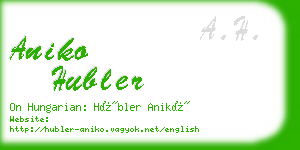 aniko hubler business card